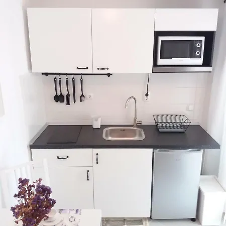Apartment Anica *
