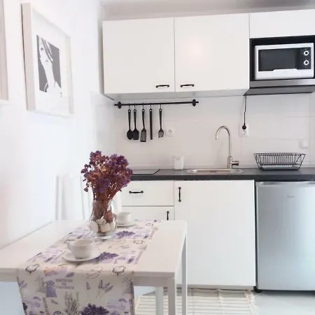 Apartment Anica *